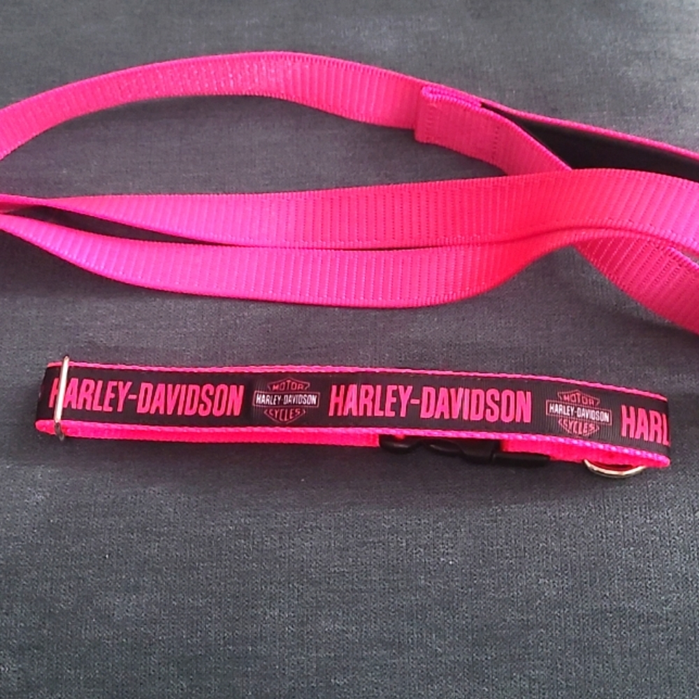 Harley davidson collar and lease
